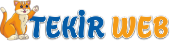 Tekir Web Ajans